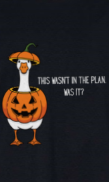Goosy Plan Youth Tee